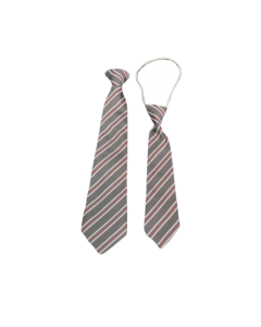 Nishkam Ties